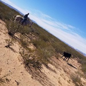 Meet your Posher, Efrain